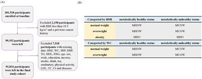Metabolic obesity phenotypes and the risk of cancer: a prospective study of the Kailuan cohort